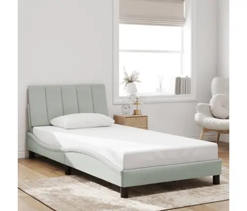 Lovos Rėmas Be Čiužinio, Hanko, Šviesiai Pilkas, 100X200cm Aksomas