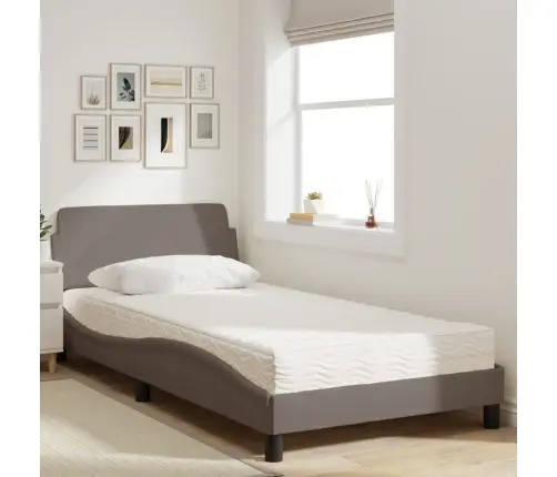 Lova Su Čiužiniu, Dover, Taupe Spalvos, 100X200cm Audinys