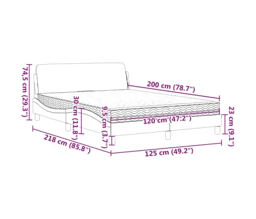 Voodi Madratsiga Dover, Must, 120X200 cm Samet