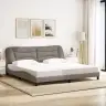 Gultas Rāmis Ar Led, Pelēkbrūns, 200X200 Cm, Audums Vidaxl Gultas Rāmis Ar Led, Pelēkbrūns, 200X200 Cm, Audums Vidaxl