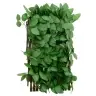 Mākslīgās Efejas Špalera, Paplašināma, Zaļa, 180X30 Cm Vidaxl Mākslīgās Efejas Špalera, Paplašināma, Zaļa, 180X30 Cm Vidaxl