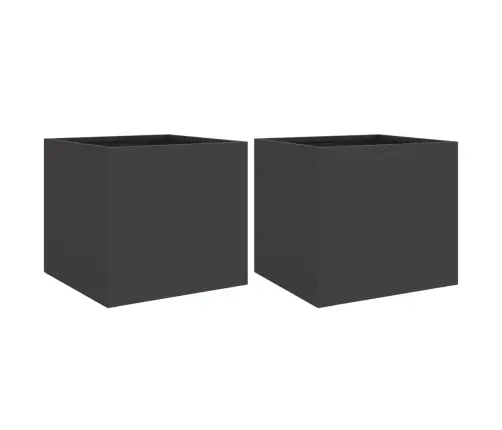 Taimekastid 2 Tk Must 32X30X29 cm Teras