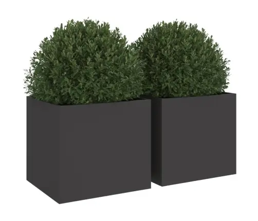 Taimekastid 2 Tk Must 32X30X29 cm Teras