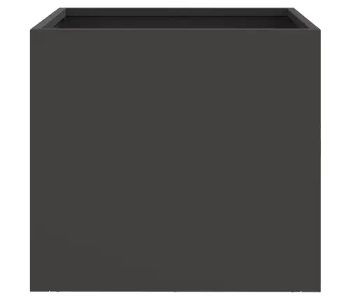 Taimekastid 2 Tk Must 32X30X29 cm Teras