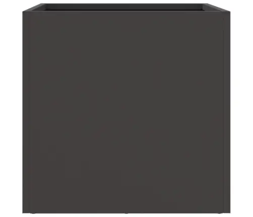 Taimekastid 2 Tk Must 32X30X29 cm Teras