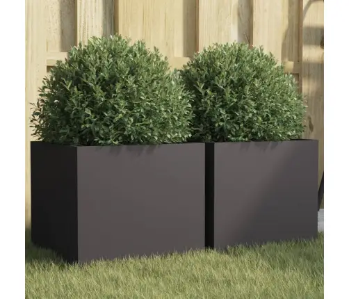 Taimekastid 2 Tk Must 32X30X29 cm Teras