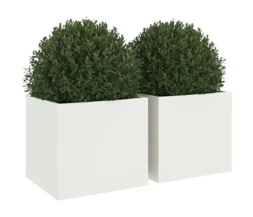 Taimekastid 2 Tk Valge 32X30X29 cm Teras
