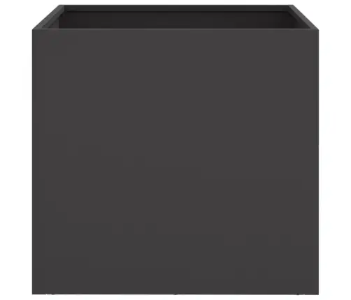 Taimekastid 2 Tk Must 49X47X46 cm Teras