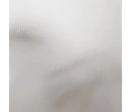 Taimekastid 2 Tk, Hõbedane, 49 X 47 X 46 cm Roostevaba Teras