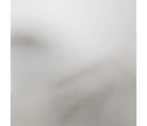 Puķu Kaste, Sudrabaina, 42X38X75 Cm, Nerūsējošais Tērauds Vidaxl