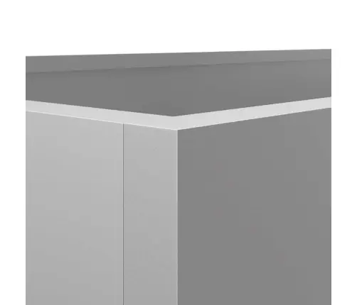 Taimekastid Hõbedane 62X30X29 Cm Tsingitud Teras