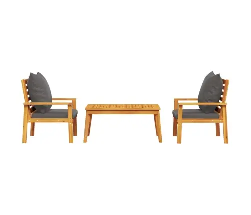 3-Osaline Aiamööbli Komplekt Patjadega, Akaatsiapuit Vidaxl