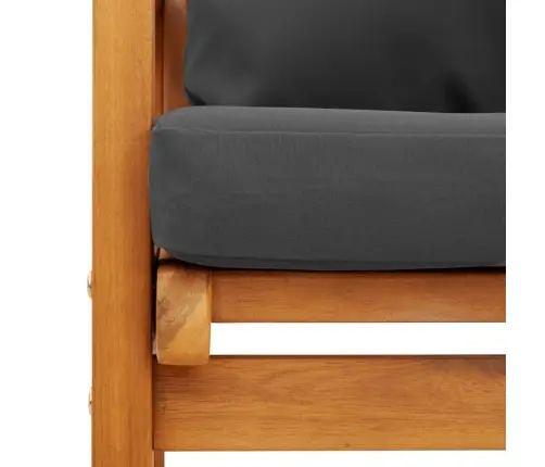 3-Osaline Aiamööbli Komplekt Patjadega, Akaatsiapuit Vidaxl