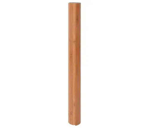 Paklājs, Taisnstūra Forma, Dabīga Krāsa, 70X300 Cm, Bambuss Vidaxl Paklājs, Taisnstūra Forma, Dabīga Krāsa, 70X300 Cm, Bambuss Vidaxl
