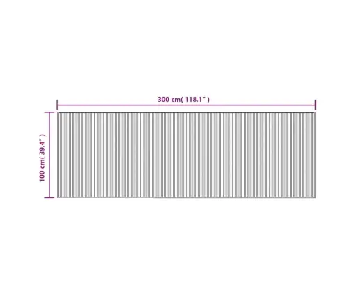 Paklājs, Taisnstūra Forma, Brūns, 100X300 Cm, Bambuss Vidaxl