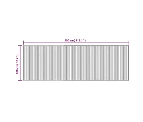 Vaip, Ristkülikukujuline, Hall, 100 X 300 cm Bambus