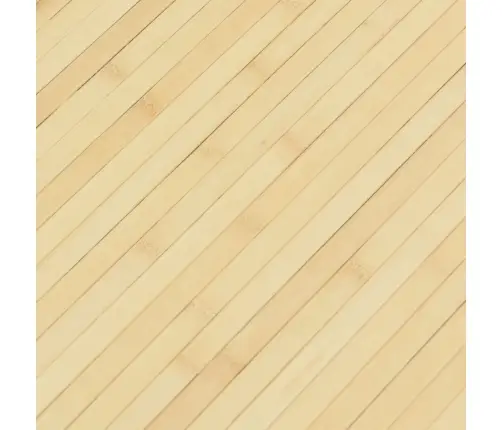 Ruumijagaja, Naturaalne, Laius 600 cm Kõrgus 165 cm Bambus