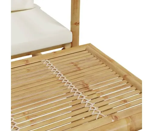 Dviejų Dalių Sodo Sofų Komplektas Su Pagalvėlėmis, Bambukas