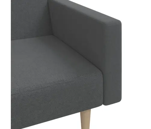 2-Vietīga Dīvāngulta, Gaiši Pelēks Audums Vidaxl