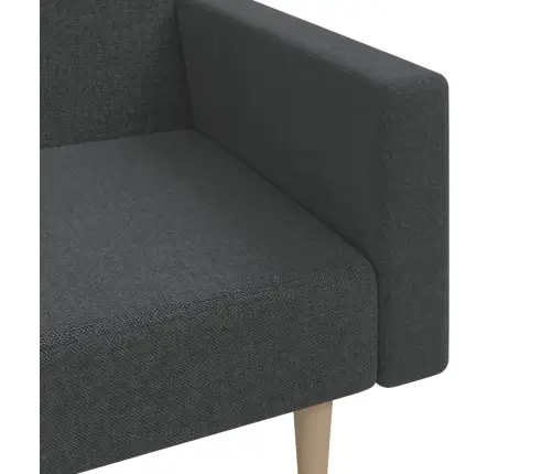 2-Vietīga Dīvāngulta, Tumši Pelēks Audums Vidaxl