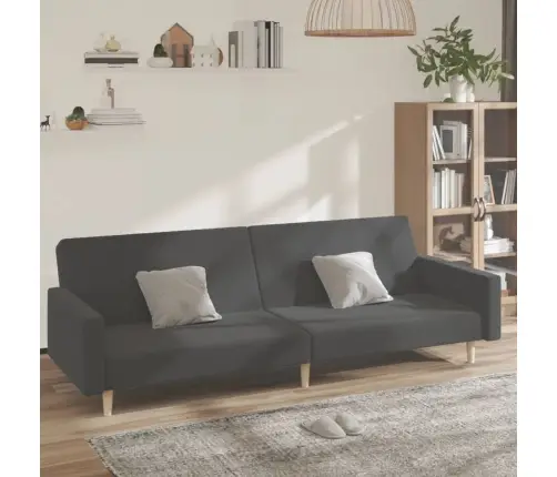 2-Vietīga Dīvāngulta, Tumši Pelēks Audums Vidaxl