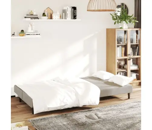 2-Vietīga Dīvāngulta, Gaiši Pelēks Samts Vidaxl