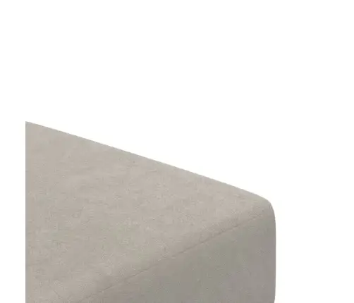 2-Vietīga Dīvāngulta, Gaiši Pelēks Samts Vidaxl