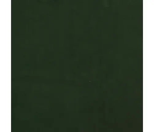 2-Vietīga Dīvāngulta, Tumši Zaļš Samts Vidaxl