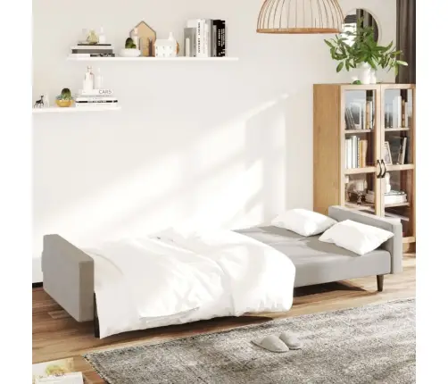 2-Vietīga Dīvāngulta, Gaiši Pelēks Samts Vidaxl