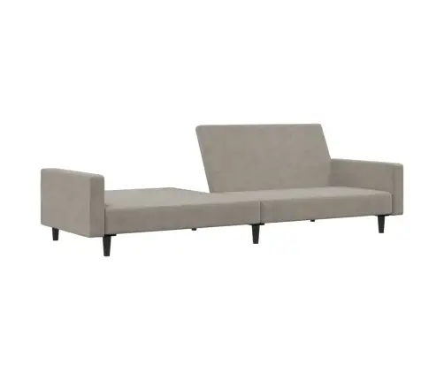 2-Vietīga Dīvāngulta, Gaiši Pelēks Samts Vidaxl