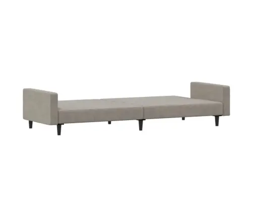 2-Vietīga Dīvāngulta, Gaiši Pelēks Samts Vidaxl