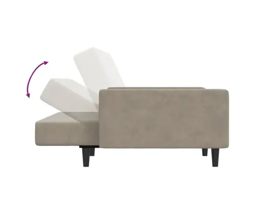 2-Vietīga Dīvāngulta, Gaiši Pelēks Samts Vidaxl