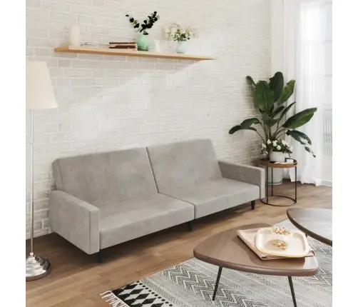 2-Vietīga Dīvāngulta, Gaiši Pelēks Samts Vidaxl