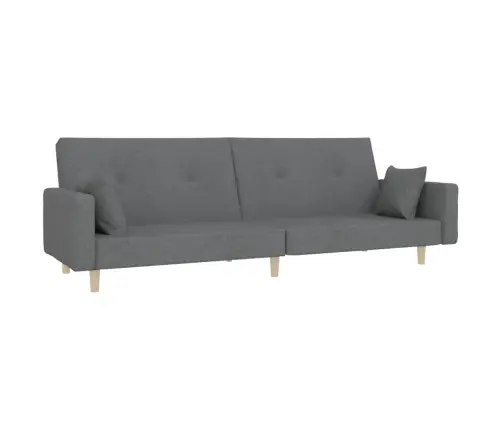 2-Vietīga Dīvāngulta Ar Diviem Spilveniem, Gaiši Pelēks Audums Vidaxl