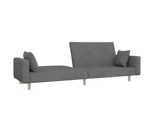 2-Vietīga Dīvāngulta Ar Diviem Spilveniem, Gaiši Pelēks Audums Vidaxl