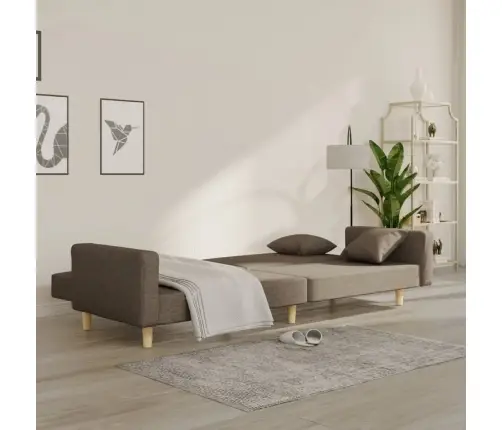 2-Vietīga Dīvāngulta Ar Diviem Spilveniem, Pelēkbrūns Audums Vidaxl