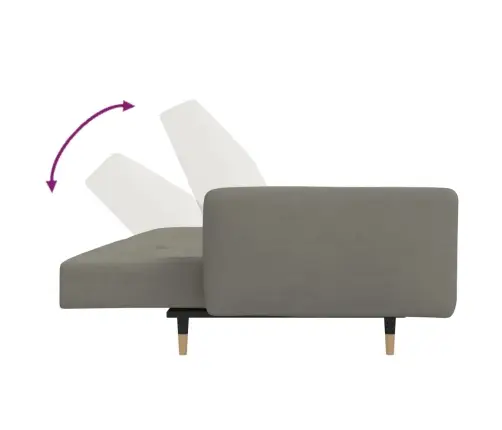 2-Vietīga Dīvāngulta Ar Diviem Spilveniem, Gaiši Pelēks Samts Vidaxl