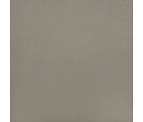 2-Vietīga Dīvāngulta Ar Diviem Spilveniem, Gaiši Pelēks Samts Vidaxl