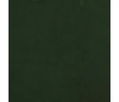 Dvivietė Sofa-Lova Su Dvejomis Pagalvėmis, Žalia, Aksomas