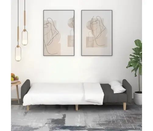 2-Vietīga Dīvāngulta, Tumši Pelēks Audums Vidaxl