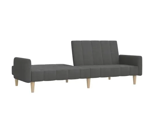 2-Vietīga Dīvāngulta, Tumši Pelēks Audums Vidaxl