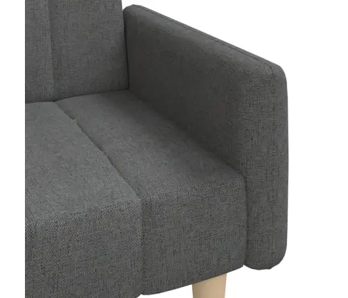 2-Vietīga Dīvāngulta, Tumši Pelēks Audums Vidaxl