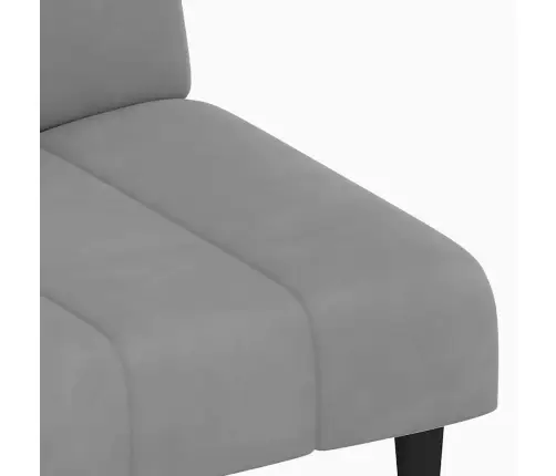 2-Vietīga Dīvāngulta, Gaiši Pelēks Samts Vidaxl