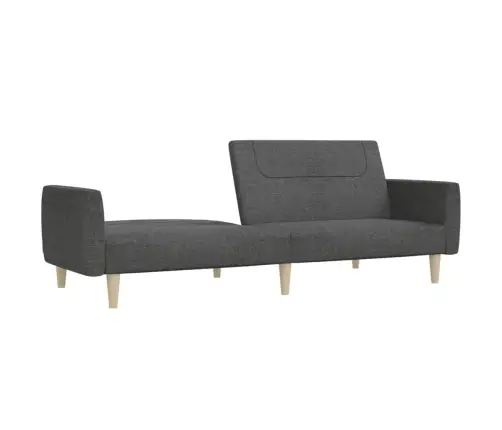 2-Vietīga Dīvāngulta, Tumši Pelēks Audums Vidaxl