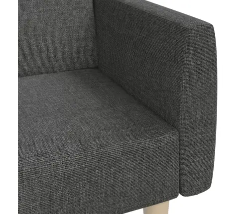 2-Vietīga Dīvāngulta, Tumši Pelēks Audums Vidaxl