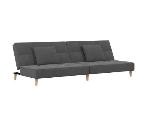 Dvivietė Sofa-Lova Su Dvejomis Pagalvėmis, Pilka, Audinys