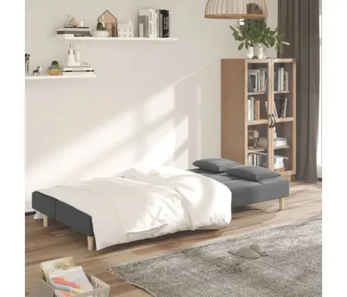 Dvivietė Sofa-Lova Su Dvejomis Pagalvėmis, Pilka, Audinys