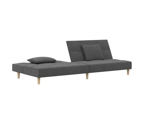 Dvivietė Sofa-Lova Su Dvejomis Pagalvėmis, Pilka, Audinys