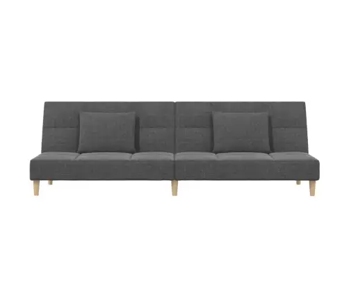 Dvivietė Sofa-Lova Su Dvejomis Pagalvėmis, Pilka, Audinys