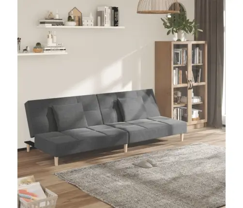 Dvivietė Sofa-Lova Su Dvejomis Pagalvėmis, Pilka, Audinys